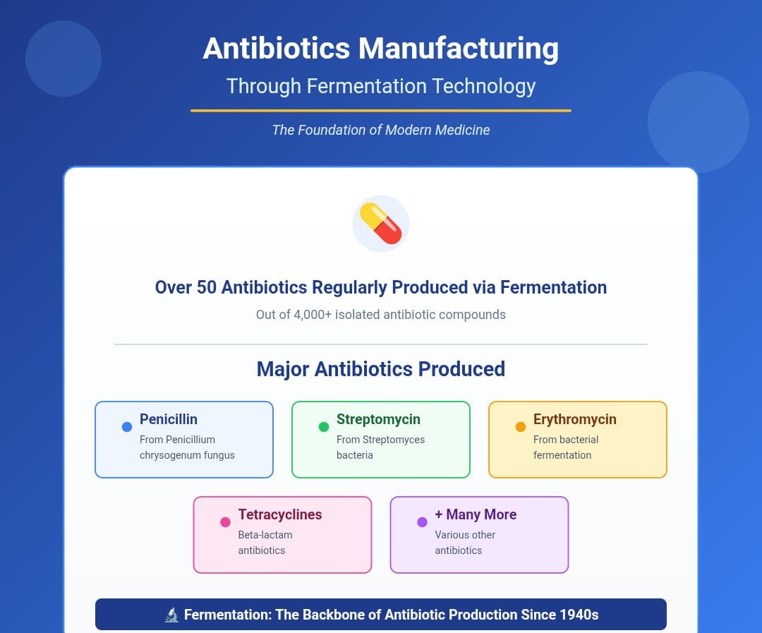 Antibiotics Manufacturing Through Fermentation
